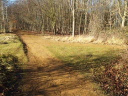 Image on trail